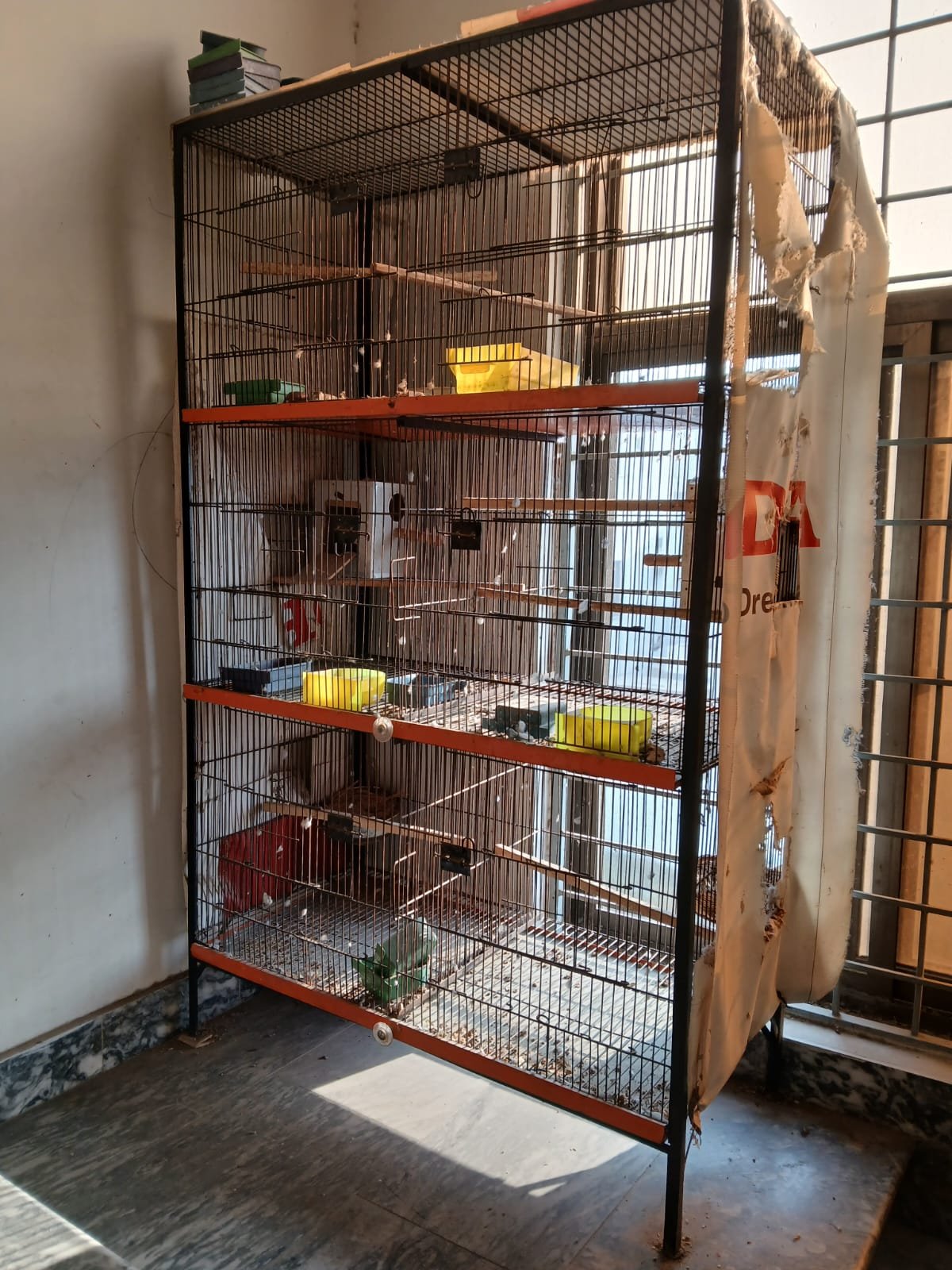 Large Multi-Level Cage / Parrot Aviary