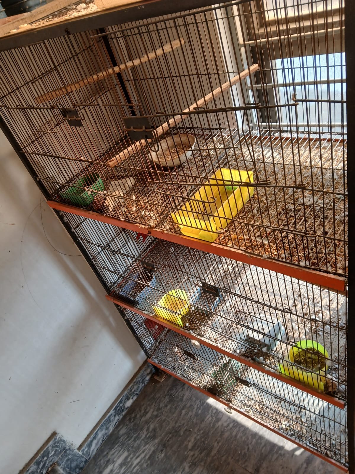 Large Multi-Level Cage / Parrot Aviary