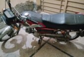 Road Prince RP 70 Passion 2017